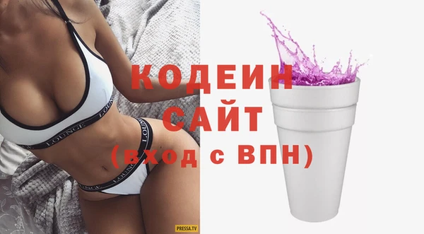 дживик Бронницы