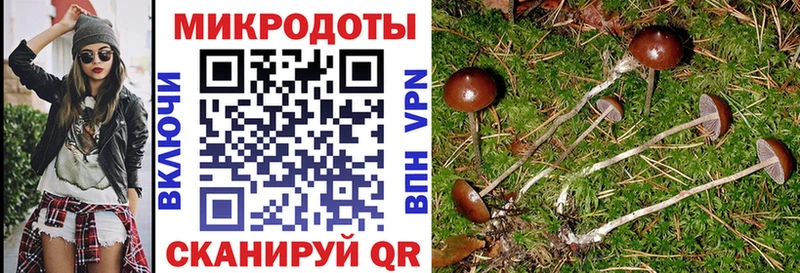 ссылка на мегу ТОР  дарнет шоп  Киренск  Псилоцибиновые грибы ЛСД 